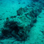 Olupina 16 vijek kod rta Kabala