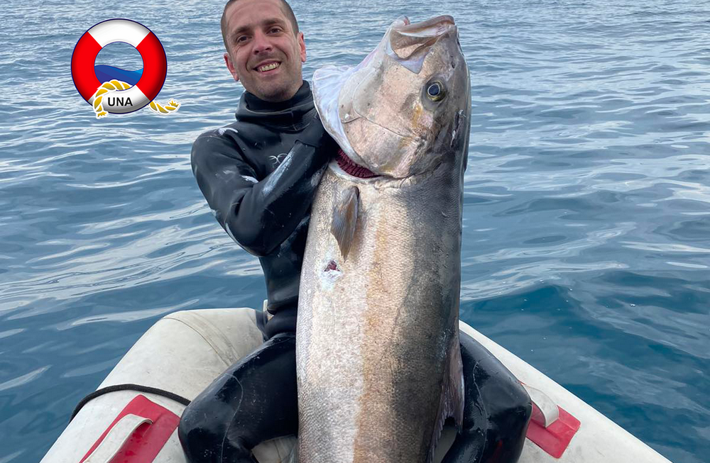 Gof 42 kilograma ulov mjeseca jun