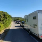 Gužva u vitaljini – čitatelj DV