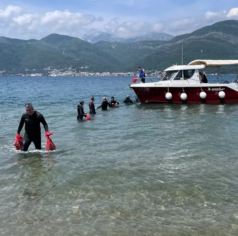 Uspešna akcija čišćenja obale i podmorja u Tivtu – sa mnogo ruku do rezultata