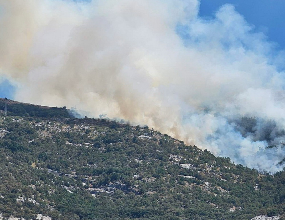 Požar iznad Njeguša ponovo aktivan Požar iznad Njeguša ponovo aktivan