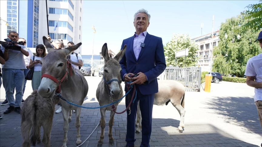 Advokat doveo četiri magarca ispred Skupštine Kosova u znak protesta Advokat doveo četiri magarca ispred Skupštine Kosova u znak protesta