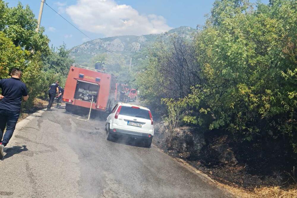 Gornji Grbalj: Vatrogasci ugasili automobil u plamenu, ugašen požar koji je zahvatio i okolnu šumu Gornji Grbalj: Vatrogasci ugasili automobil u plamenu, ugašen požar koji je zahvatio i okolnu šumu
