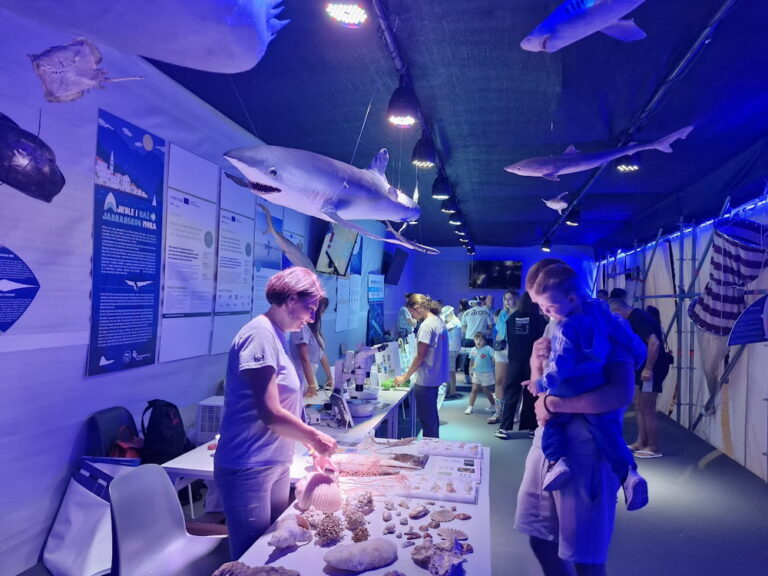 Vodimo vas kroz Ocean Live Park u Tivtu (Video)