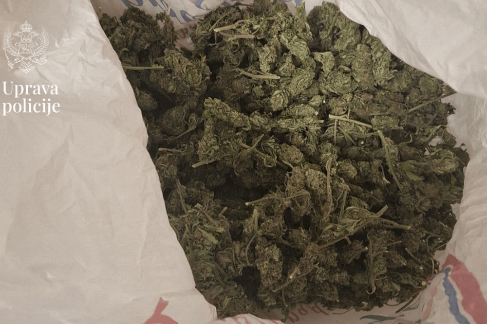 Kotor: Uhapšen albanski državljanin, pronađeno mu skoro 2.5 kilograma marihuane Kotor: Uhapšen albanski državljanin, pronađeno mu skoro 2.5 kilograma marihuane