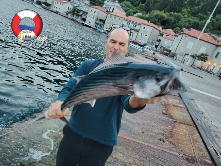 Ulov mjeseca za oktobar, Branku Vujičiću za palamidu 4.7 kg Ulov mjeseca za oktobar, Branku Vujičiću za palamidu 4.7 kg