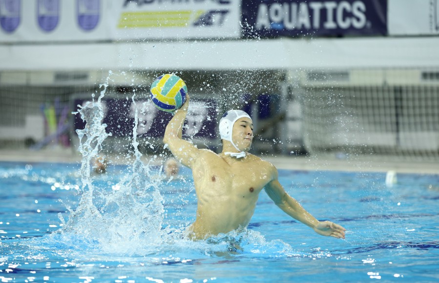 Kotorani srušili vicešampiona Evrope – Primorac nakon peteraca pokvario Šapićev povratak na klupu Kotorani srušili vicešampiona Evrope – Primorac nakon peteraca pokvario Šapićev povratak na klupu