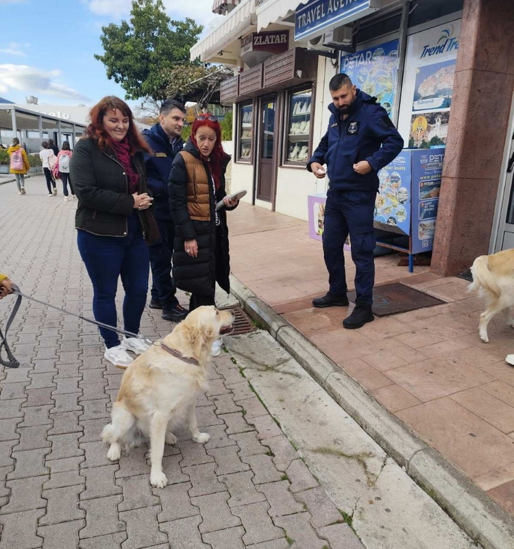 Herceg Novi – Intenzivirana kontrola kućnih ljubimaca Herceg Novi – Intenzivirana kontrola kućnih ljubimaca