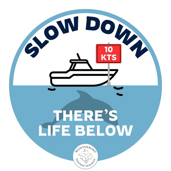 Montenegro Dolphin Research: Uspostavljena prva regionalna centralizovana baza podataka o uočenim delfinima Montenegro Dolphin Research: Uspostavljena prva regionalna centralizovana baza podataka o uočenim delfinima