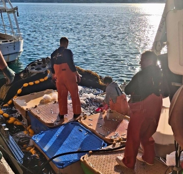 Jadran zatrpan plastikom: Ribari bez infrastrukture za zbrinjavanje otpada Jadran zatrpan plastikom: Ribari bez infrastrukture za zbrinjavanje otpada