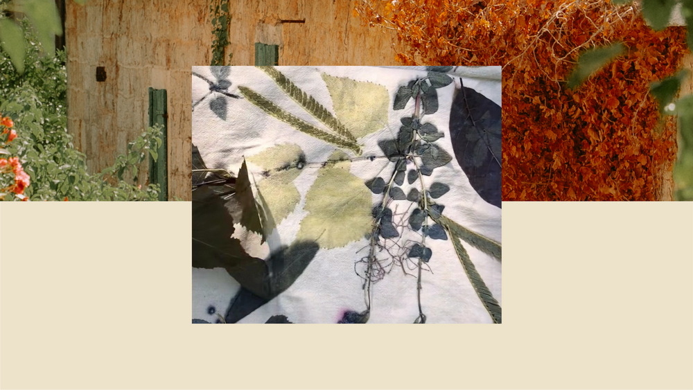 Radionica Herbarijum sjećanja u ARTRO galeriji u Luštica Bay-u Radionica Herbarijum sjećanja u ARTRO galeriji u Luštica Bay-u