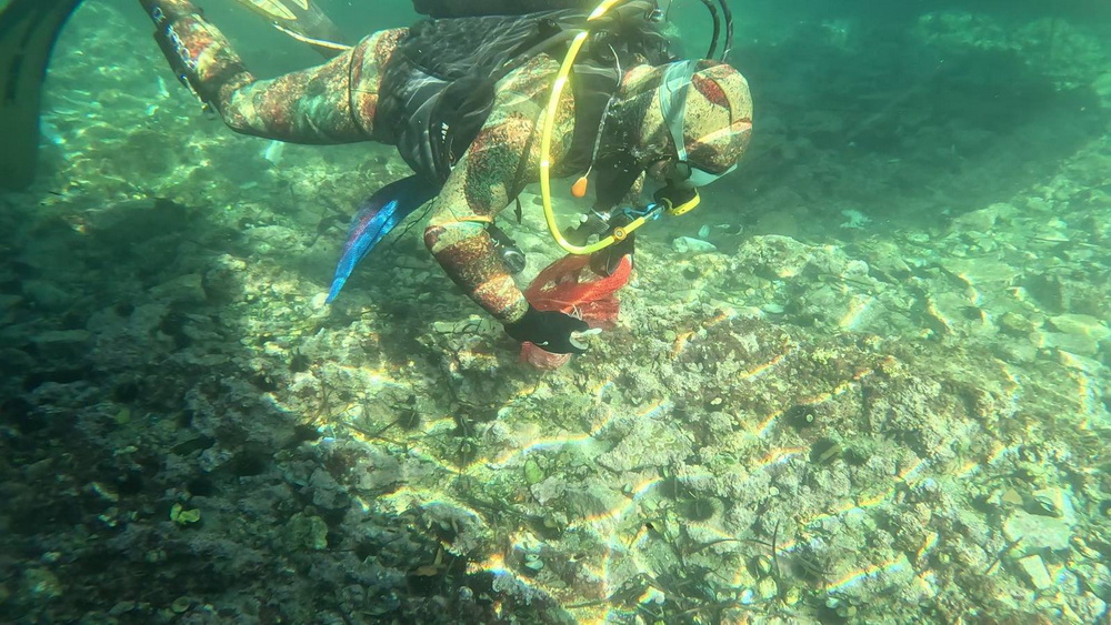 “Morsko dobro” organizovalo akciju čišćenja mora i morskih pećina, prikupljeno oko 600 kilograma otpada “Morsko dobro” organizovalo akciju čišćenja mora i morskih pećina, prikupljeno oko 600 kilograma otpada