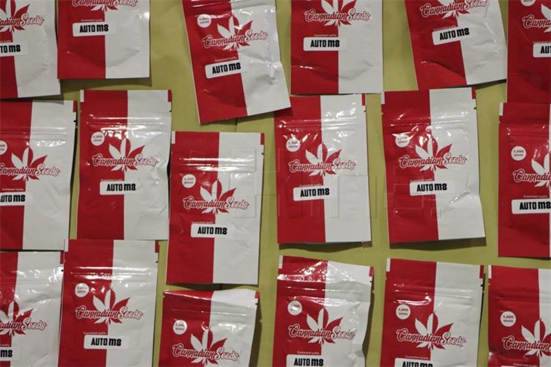 GP Karasović – Albancu određen istražni zatvor zbog pokušaja krijumčarenja 143.000 sjemenki kanabisa GP Karasović – Albancu određen istražni zatvor zbog pokušaja krijumčarenja 143.000 sjemenki kanabisa